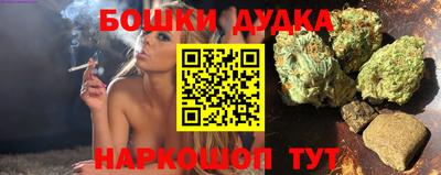 сатива Кандалакша