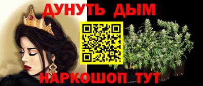 сатива Кандалакша