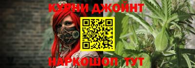 сатива Кандалакша