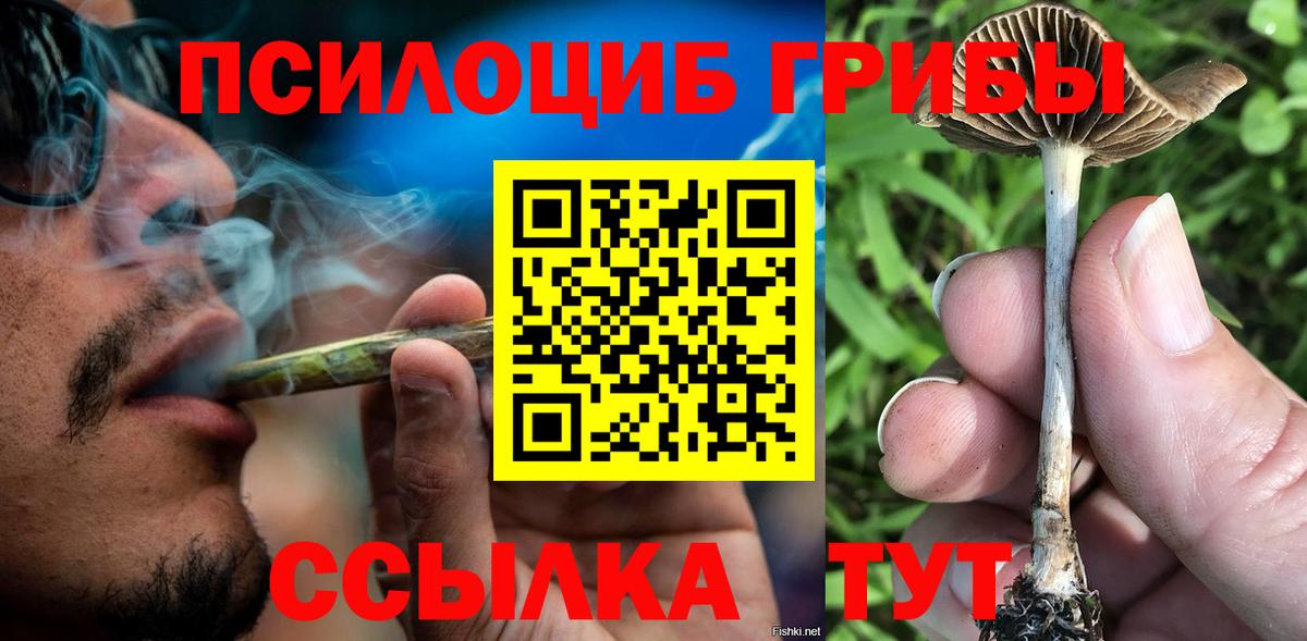 Красноуфимск  Псилоцибиновые грибы Cubensis  Вход с VPN 